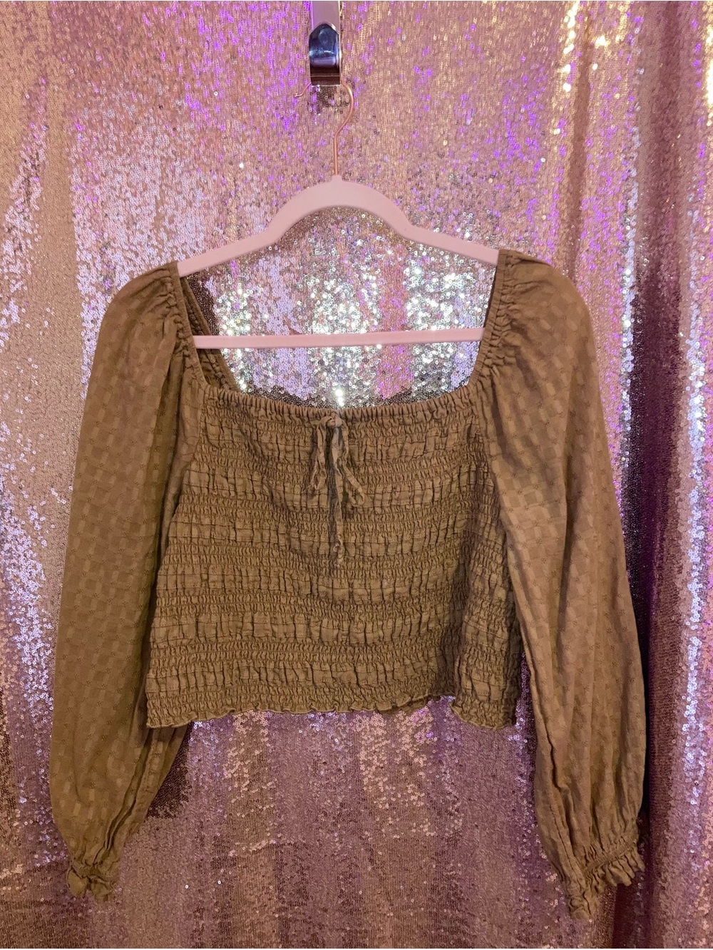 American Eagle Outfitters Brown Smocked Long-Sleeve Crop Top